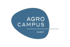 Coaching cadre enseignant universitaire